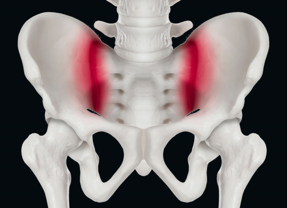 The pelvis from behind, with both sacroiliac joints marked in red